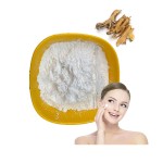 Resveratrol Cuspidatum Extract Powder Supplements Pure CAS 501-36-0 98% 1kg Trans Resveratrol