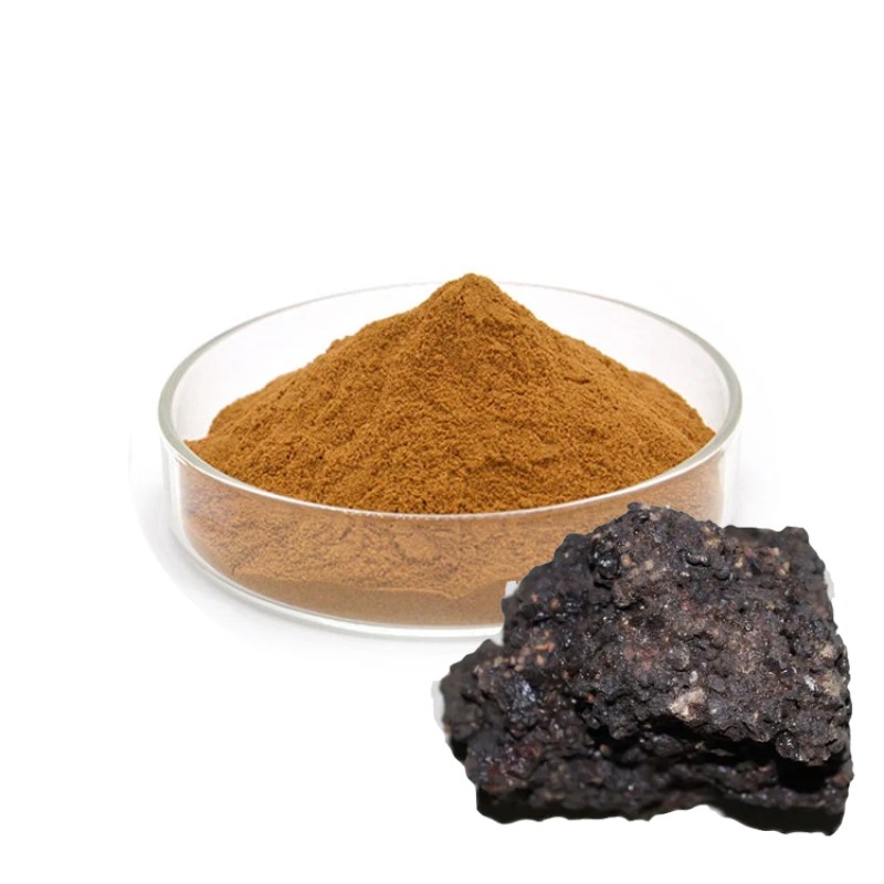 High Quality Bulk Shilajit Extract Powder 20% 40% Fulvic Acid Natural Pure Shilajit Powder