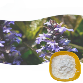 Natural Supplement Beta Ecdysterone Powder 98% Ecdysterone