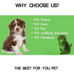 Wholesale Product for Cats Dogs Immune Vitamins for Dogs Pet Health Care Supplements