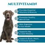 High Quality Dog Supplements Chews for Hip and Joint Pet Health Care & Supplements