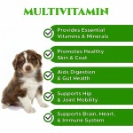 Wholesale Bulk Pet Health Supplies Nutritious Dog and Cat Vitamin C Dog Vitamin Supplement