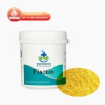 Wholesale Price Supplement Fisetin Pure 98% Fisetin Smoketree Extract Powder