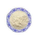 Wholesale Price Clostridium Butyricum Feed Grade Probiotic Clostridium Butyricum