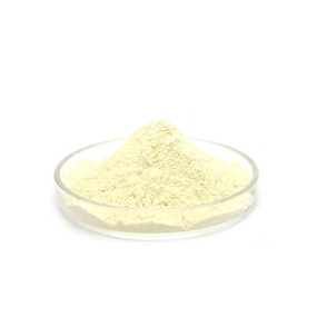 Factory Supply Supplement Genistein Powder CAS 446-72-0 HPLC 98% Pure Genistein