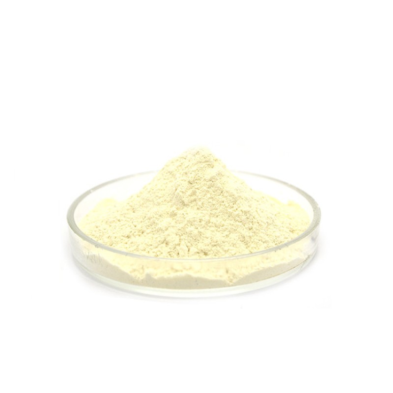 Factory Supply Supplement Genistein Powder CAS 446-72-0 HPLC 98% Pure Genistein