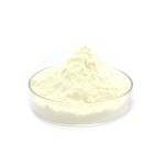 Factory Price Soy Protein Isolated Soybean Food Grade Soy Protein Isolate Powder