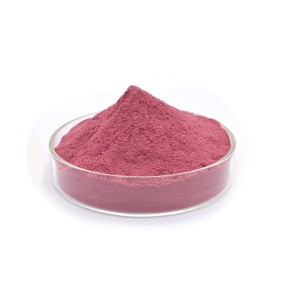 Herbal Supplement Natural Bilberry Extract 4:1 25% 30% Anthocyanin Powder Bilberry Extract