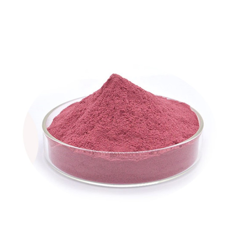 Herbal Supplement Natural Bilberry Extract 4:1 25% 30% Anthocyanin Powder Bilberry Extract