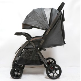 Customized Stroller Supplier - OEM Customized Steel Stainless Frame