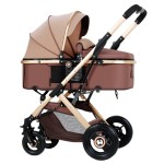 Reclining Stroller Manufacturer - High Landscape Light Ride Reclining