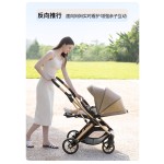 Baby Stroller Supplier - Baby Products Luxury 3 in 1 EN1888