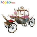 Park Transportation Manufacturer - Park Transportation Hollow Princess