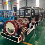 Electric Sightseeing Factory - Park Rides Electric Train Rides 27