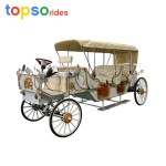 Customizable Carriage Manufacturer - Customizable Color Electric Horse