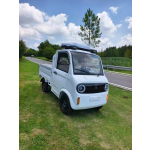 Electric Horse Carriage Manufacturer - Sightseeing Tourist