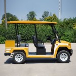 Electric Sightseeing Car Manufacturer - Street Legal Lithium