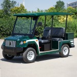 Electric Sightseeing Car Manufacturer - Street Legal Lithium