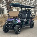 Golf Buggy Factory - 2-8 Seats Custom Hunting Cart