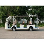 Electric Tourist Car Factory - 8-Seater Luxury Resort