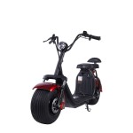 Electric Bike Manufacturer - Aluminum Alloy Frame