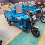 Electric Tricycle Manufacturer - 3-Wheel Cargo Bike Bulk