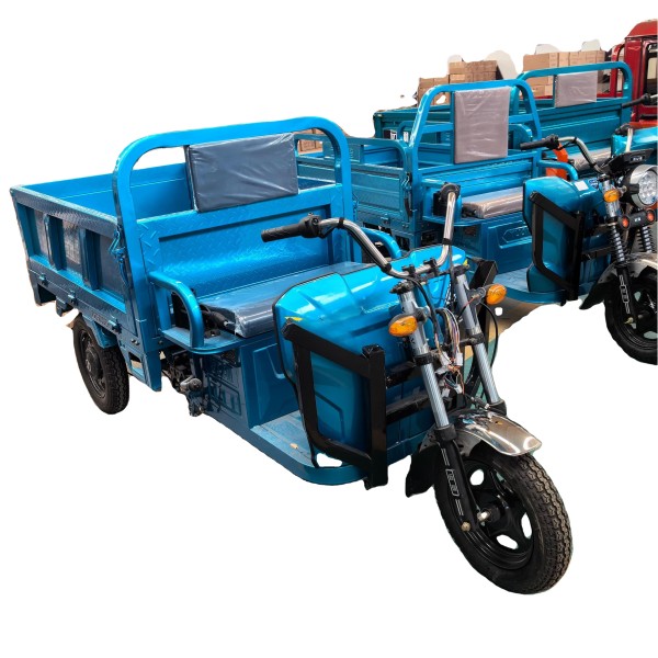 Electric Tricycle Supplier - 3-Wheel Cargo Bike Custom