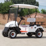 Electric Beach Buggy Manufacturer - 4 Passenger Golf