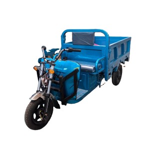 Electric Tricycle Factory - 1000W 3-Wheel Motorcycle OEM
