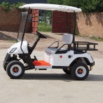 Electric Buggy Supplier - Golfers Buggy Custom