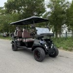 Golf Buggy Factory - 2-8 Seats Custom Hunting Cart