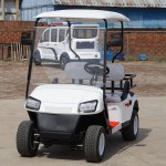 Golf Cart Factory - Custom 8 Seater Lifted
