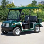 Golf Buggy Factory - 4+2 Seats Custom Design