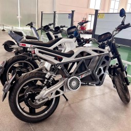 Electric Motorcycle Manufacturer - Hydraulic Disk Brake