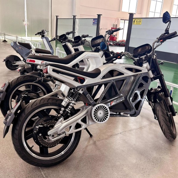 Electric Motorcycle Manufacturer - Hydraulic Disk Brake