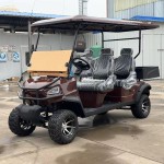Electric Buggy Factory - 2+4 Seater Street Legal 4WD