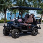 Golf Cart Factory - CE Certified 4KW Battery Hunting