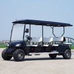Electric Buggy Manufacturer - Cheap Golfers Vehicle