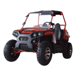 Quad Bike Manufacturer - 200cc 300cc Buggy