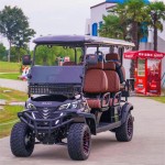 Golf Buggy Factory - 2-8 Seats Custom Hunting Cart