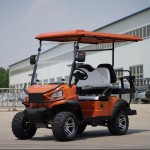 Golf Cart Manufacturer - 4KW AC Motor Hunting Car