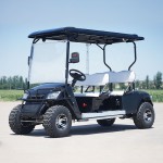 Electric Buggy Supplier - Golfers Buggy Custom