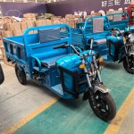 Electric Tricycle Manufacturer - 3-Wheels Cargo Box Bike