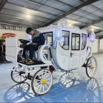 Princess Carriage Factory - Electric Full Enclosed