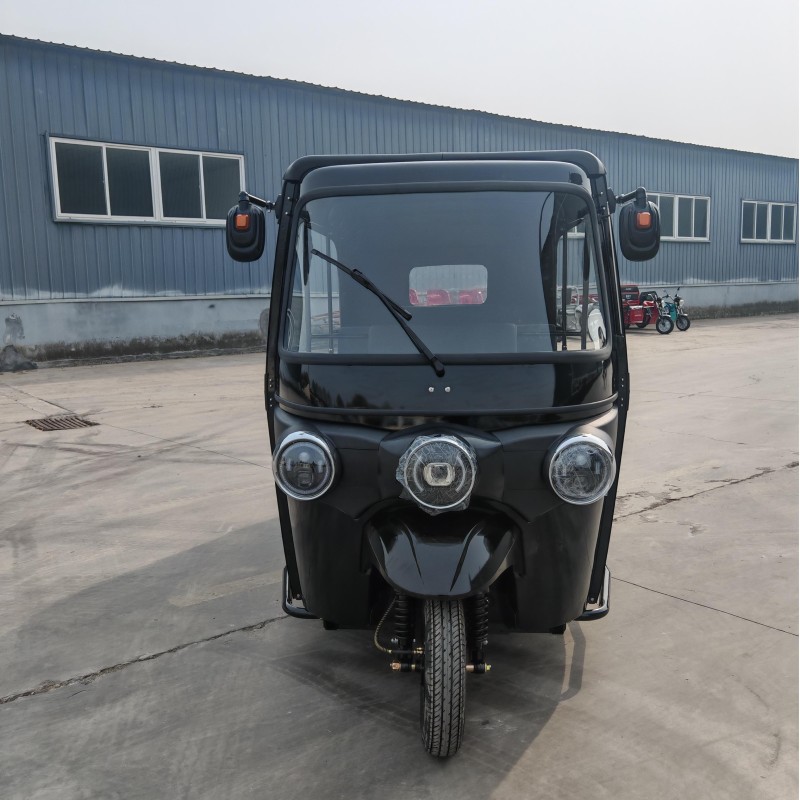 Electric 3 Wheeler Factory - Cart and Tricycle OEM