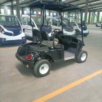 Golf Cart Factory - 2 Seater Mini Electric Low