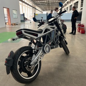 Electric Motorcycle Manufacturer - 3000W 85km/h China