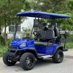 Golf Cart Manufacturer - 4KW AC Motor Hunting Car