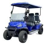 Golf Cart Manufacturer - 4KW AC Motor Hunting Car