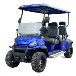 Golf Cart Manufacturer - 4KW AC Motor Hunting Car